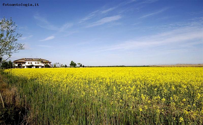 panorama agricolo 3