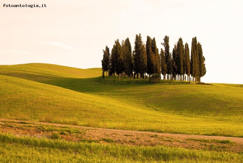 ...al calar della sera...