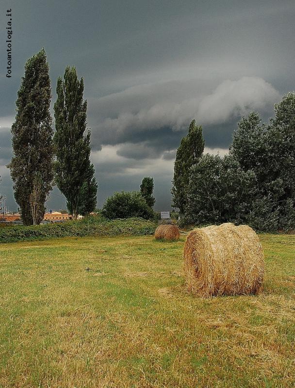 L'ESTATE STA FINENDO