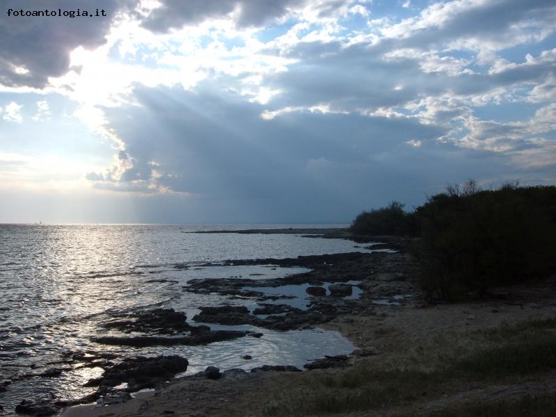 isola dei conigli