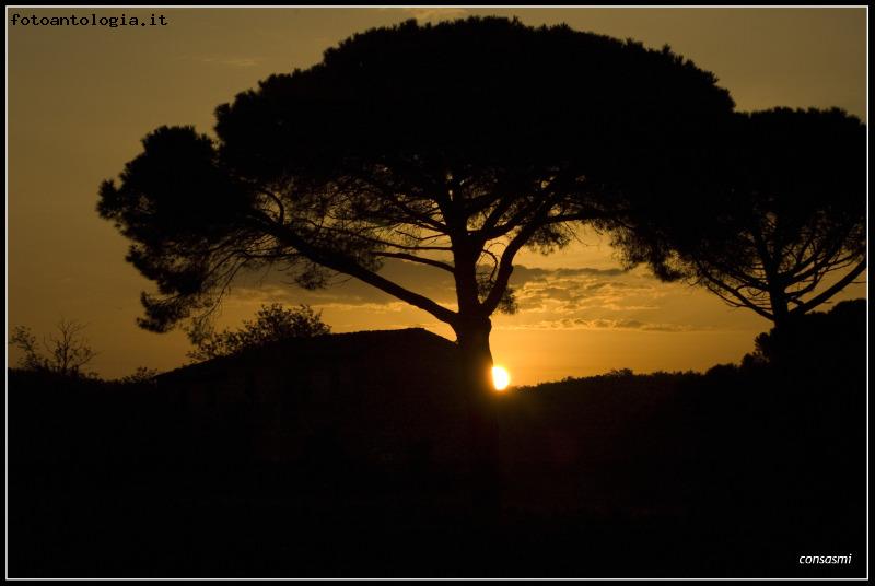 silhouette all'alba