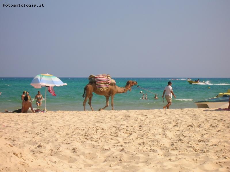 strani incontri in spiaggia....