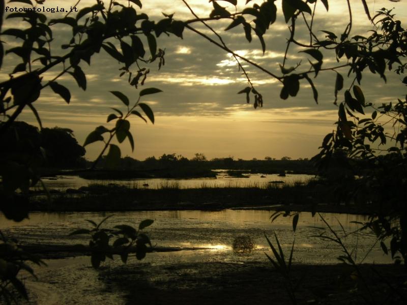 alba nella savana