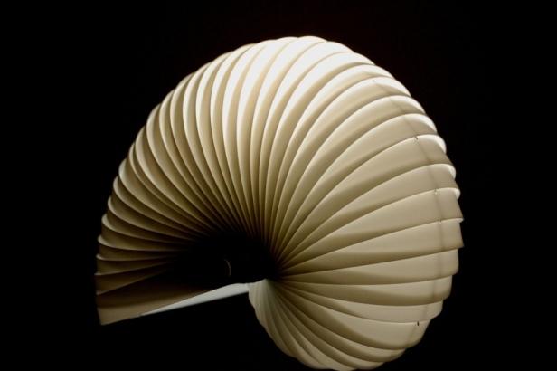 Shell