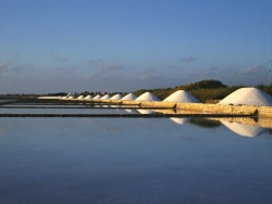 Il bagliore del sale - immagini dalle saline marine europee