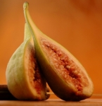 Gusto vigente - Gli alimenti nella Bibbia