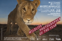 Wildlife Photographer of the Year 2014