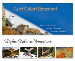 Luci Colori Emozioni
