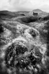 TERRE/SOGNI - Antologia 09
