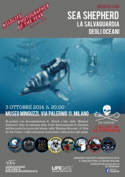 SEA SHEPHERD La salvaguardia degli oceani e incontro con ALESSANDRO BEE "Wild Encounters - Storie di natura"