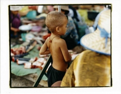 Cambogia