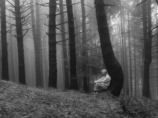 UNO, NESSUNO e CARLO FERRARA - Mostra fotografica-concerto