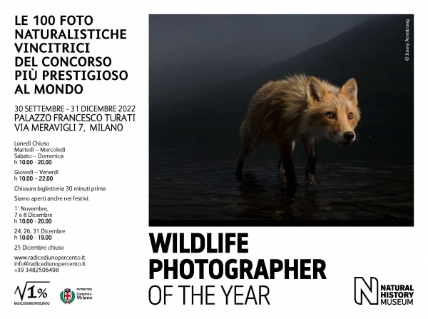 Wildlife Photographer of the Year 57 a Milano