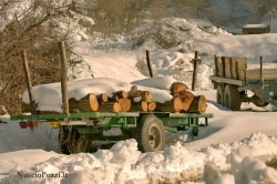 SEMPLICEMENTE INVERNO