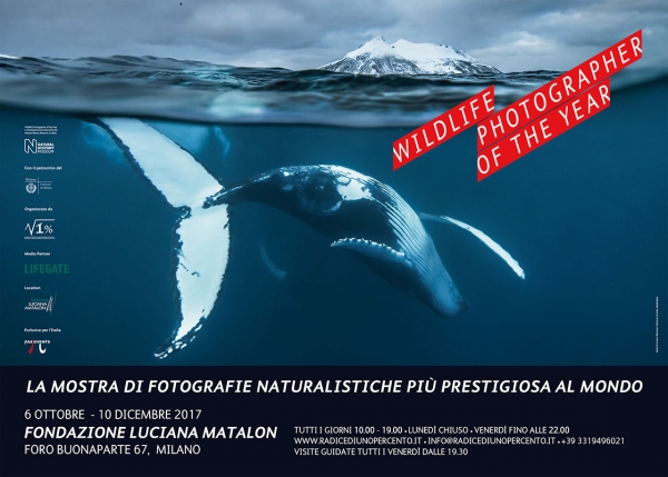 Wildlife Photographer of the Year 52