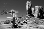 LANDS | DREAMS - Dezele|Sanje