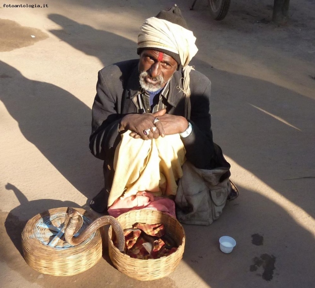 Incantatore di serpenti a Pushkar, India.