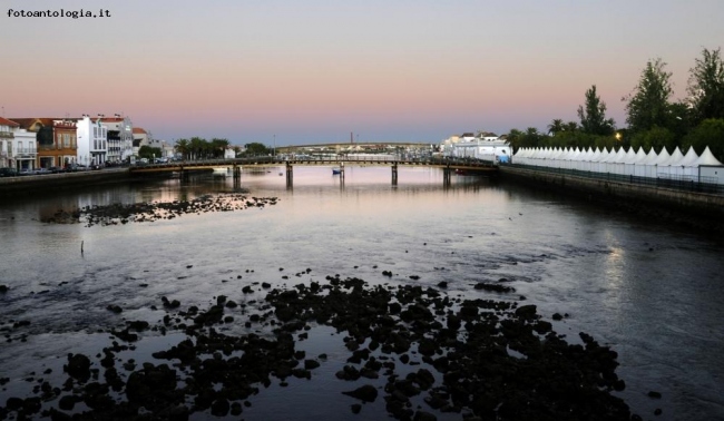 TAVIRA