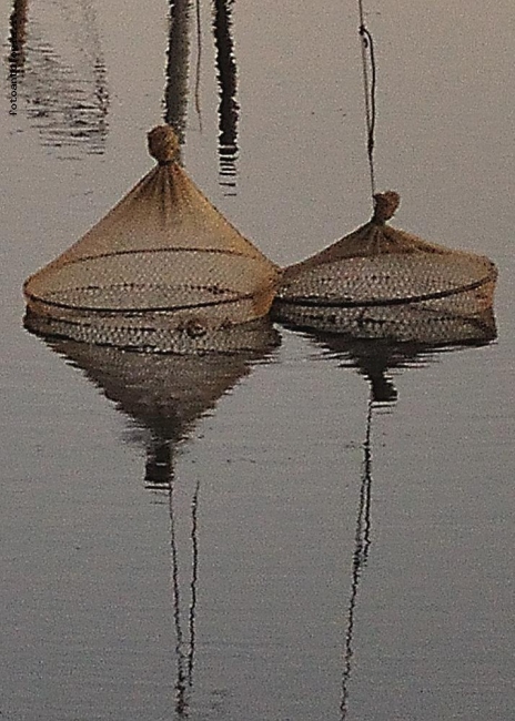 RETI AL CALAR DELLA SERA