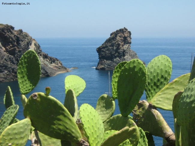 l'isola incantata