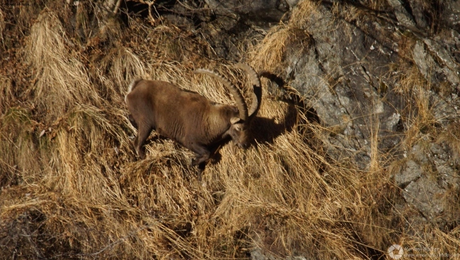 Alta Val Seriana