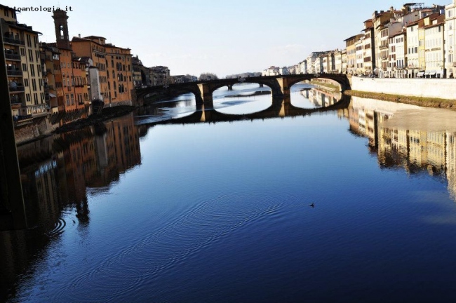 Firenze