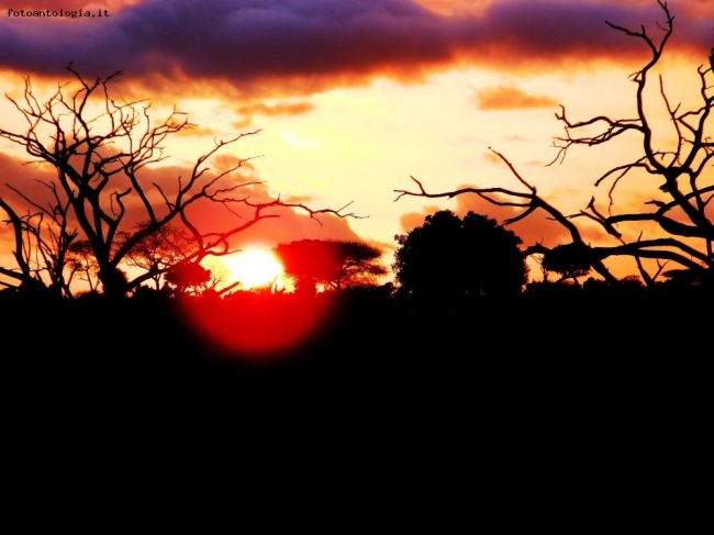 L'alba sulla savana