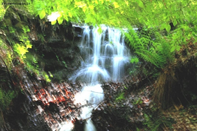 le vie dell'acqua 1/1 - torrente montano