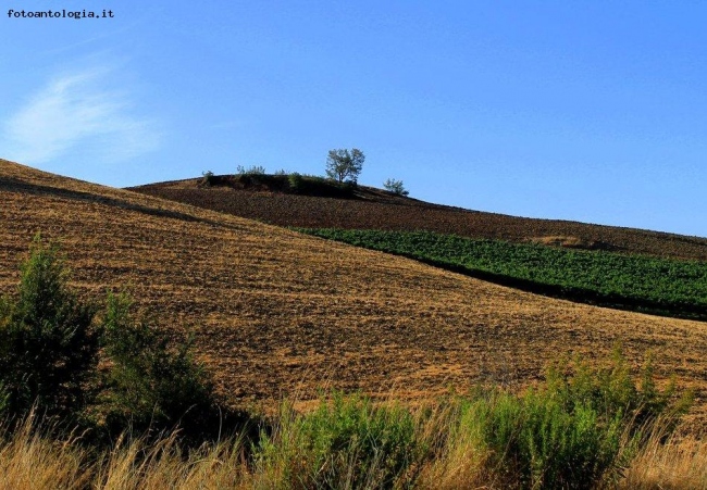 Dolce Maremma