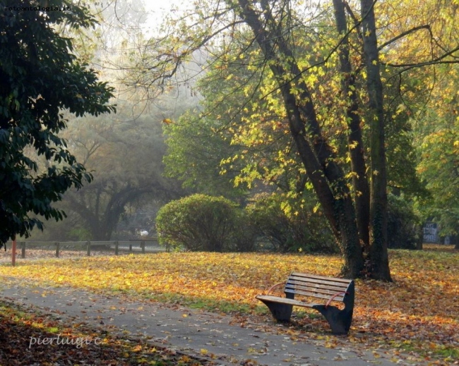 una mattina ... al parco - terza parte