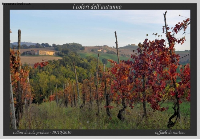 i colori dell'autunno