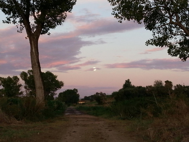 passeggiata nel parco