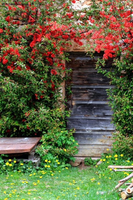 Primavera alla porta