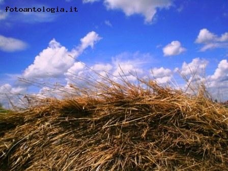 ricordando l'estate