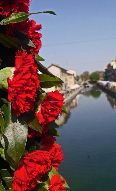 Naviglio fiorito