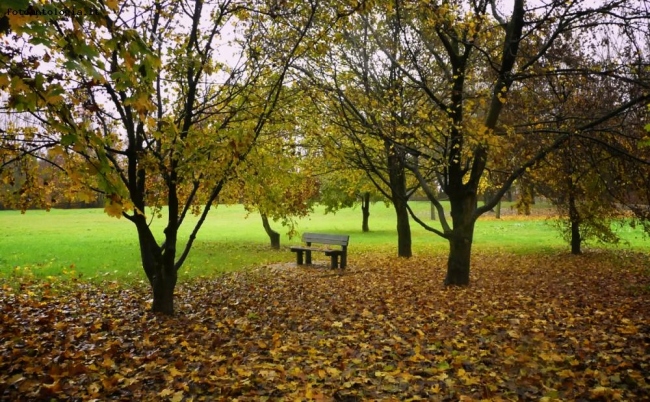 Autunno a colori