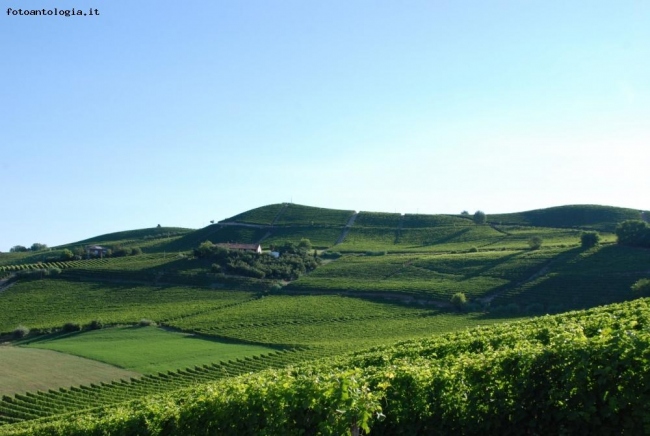 Le Langhe dietro la casa di Campagna