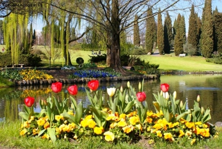 colori sull'acqua