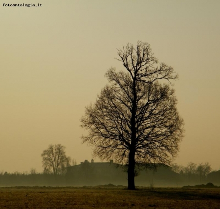 Foggy morning...