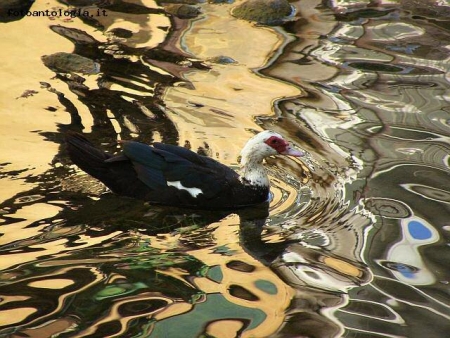 GIRO IN FIUME 2 A PORRETTA