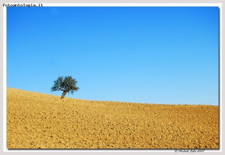 Ai confini del cielo