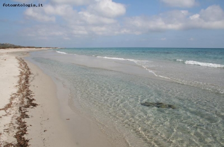 colori della sardegna