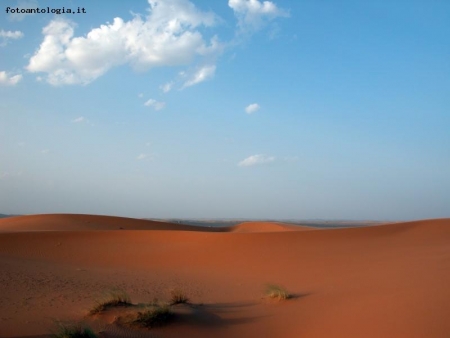 deserto