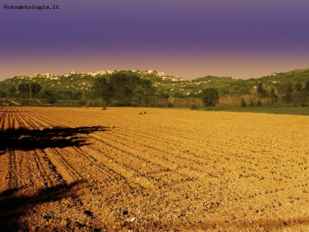 CAMPO DI SERA