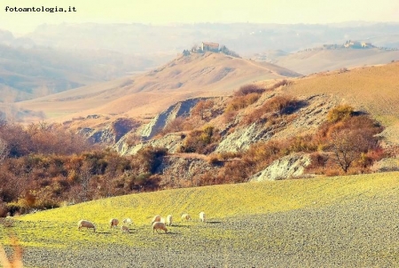 crete senesi