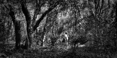 into the wild
