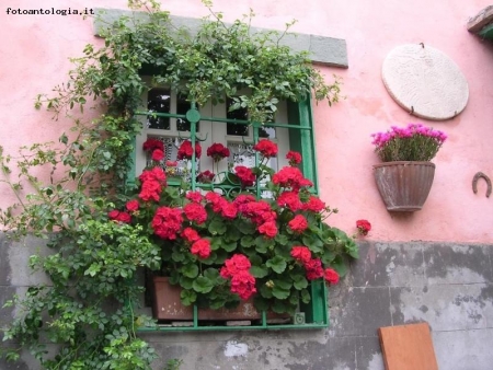 Colori del silenzio