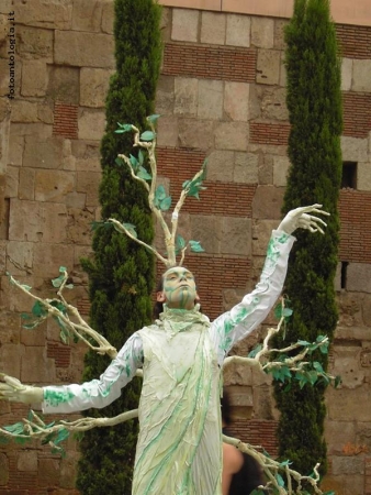 l'albero vivo