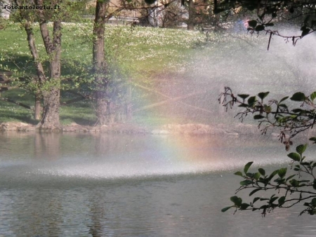 riflessi sul tevere