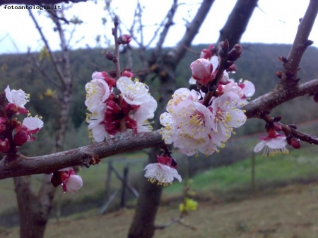 E' quasi primavera.....